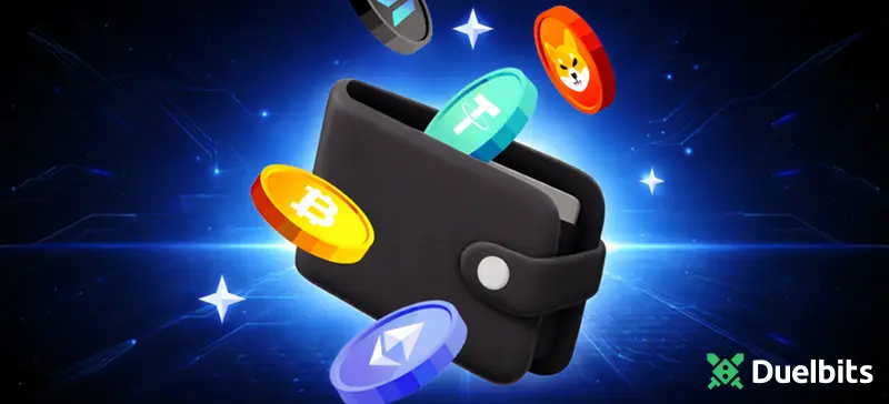 Duelbits Casino Payments